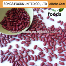 Acheter des haricots rouges de haute qualité à alibaba